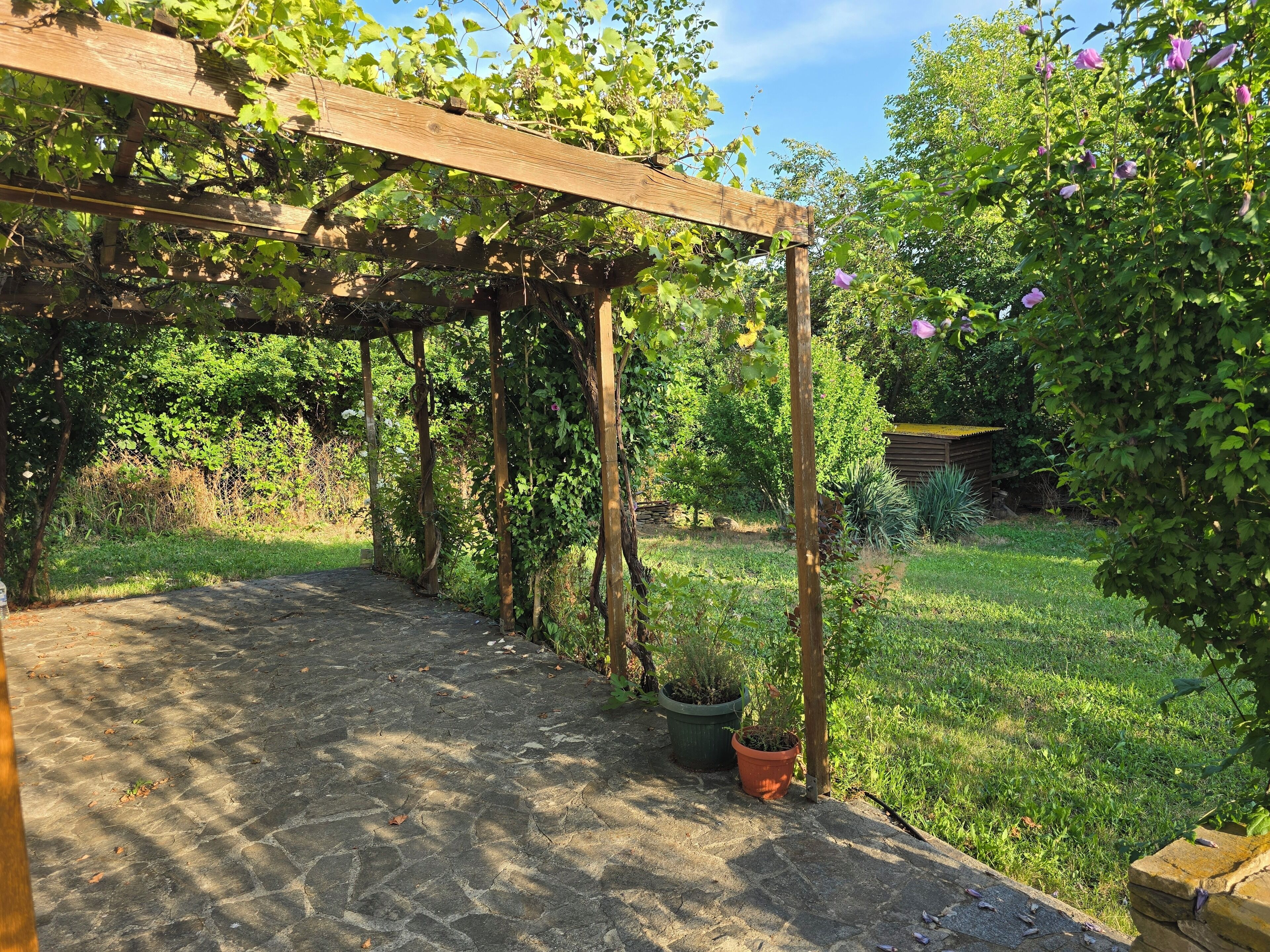 A garden with a pergola, potted plants, and a grassy area.