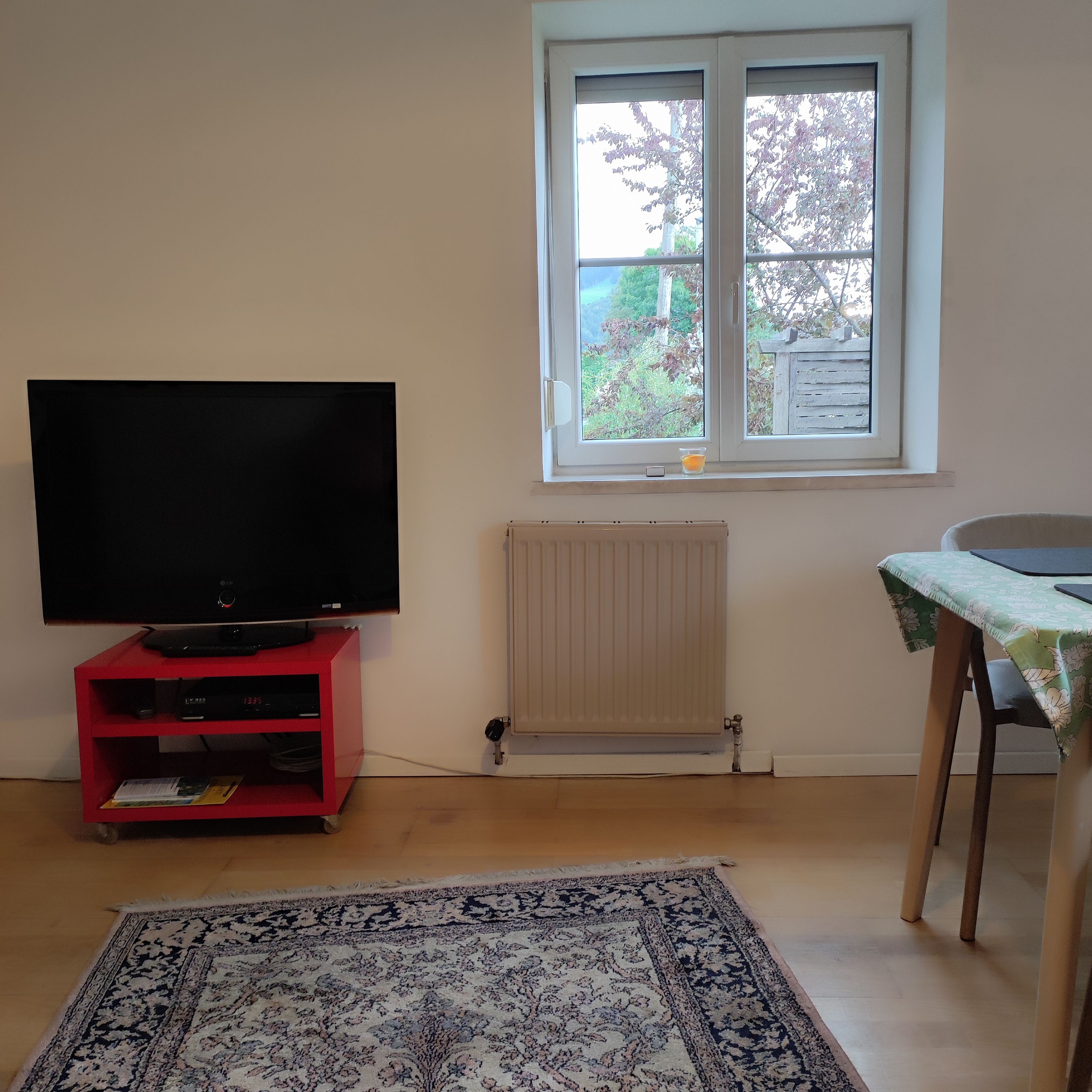 Ein Zimmer mit einem Flachbildfernseher auf einem roten Podest, einem Fenster mit Blick auf Grünflächen, einem Heizkörper und einem gemusterten Teppich.