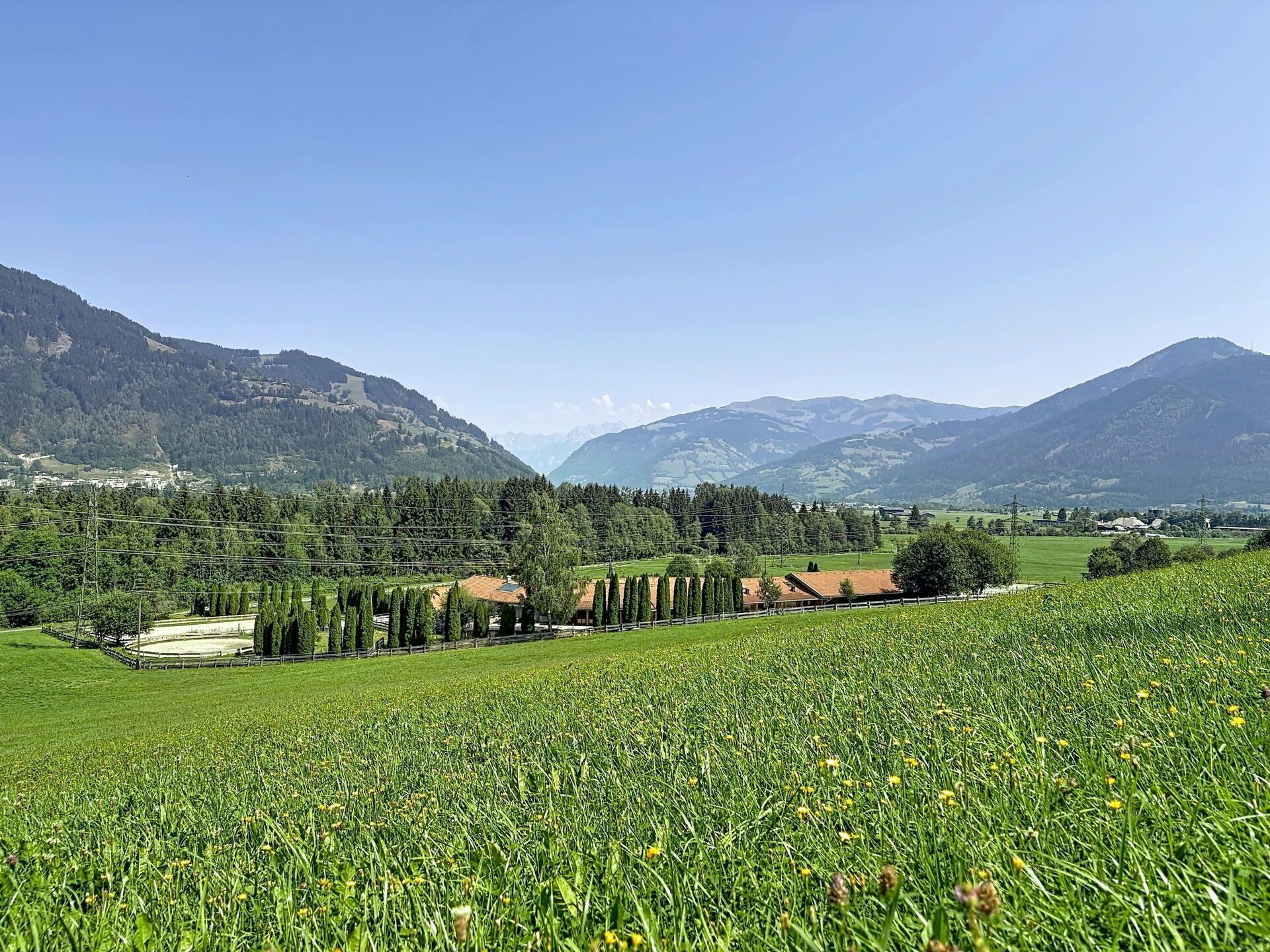 A rural landscape with fields, trees, and distant mountains.