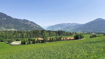 A rural landscape with fields, trees, and distant mountains.