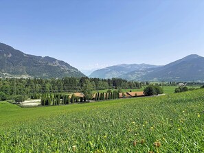 A rural landscape with fields, trees, and distant mountains.