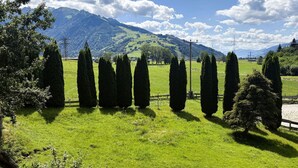 A grassy field with neatly trimmed conical trees and a mountain range in the background.