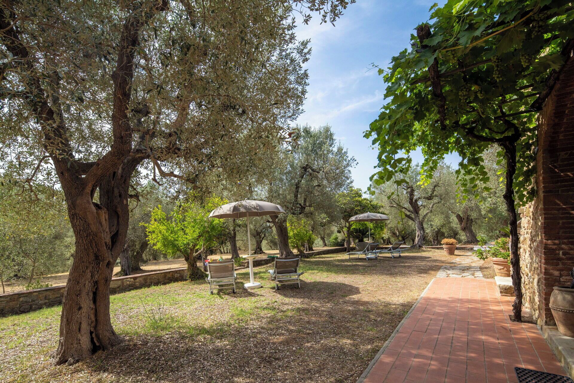 Un espace extérieur aménagé en jardin, avec des oliviers, des pergolas et un chemin bordé de briques.
