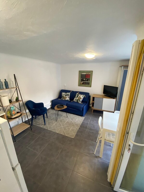 TV - 17-square-meter studio with a terrace (Cannes)