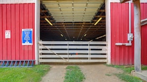 A red barn entrance with a warning sign, a gate, and a dirt path leading inside. - On Horse Farm! Home w/ Pond Access in Spring Creek (Spring Creek)