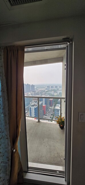 A room with a large window, a curtain, and a potted plant.