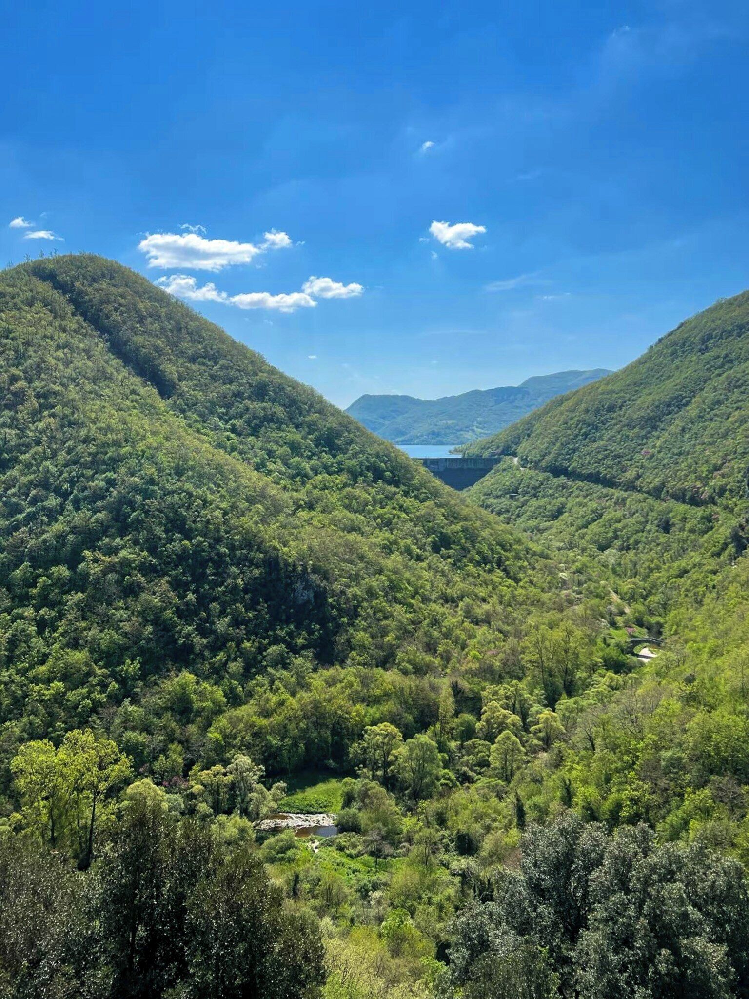 A mountainous landscape with dense green forests and a clear blue sky.