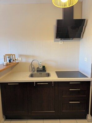 A modern kitchen with a stainless steel sink, a built-in stove, dark wooden cabinets, and a wall-mounted TV. - L'Île Rousse - Two-bedroom apartment with a terrace offering views of the sea and mountains - 8-minute walk to the beach (L'Île-Rousse)