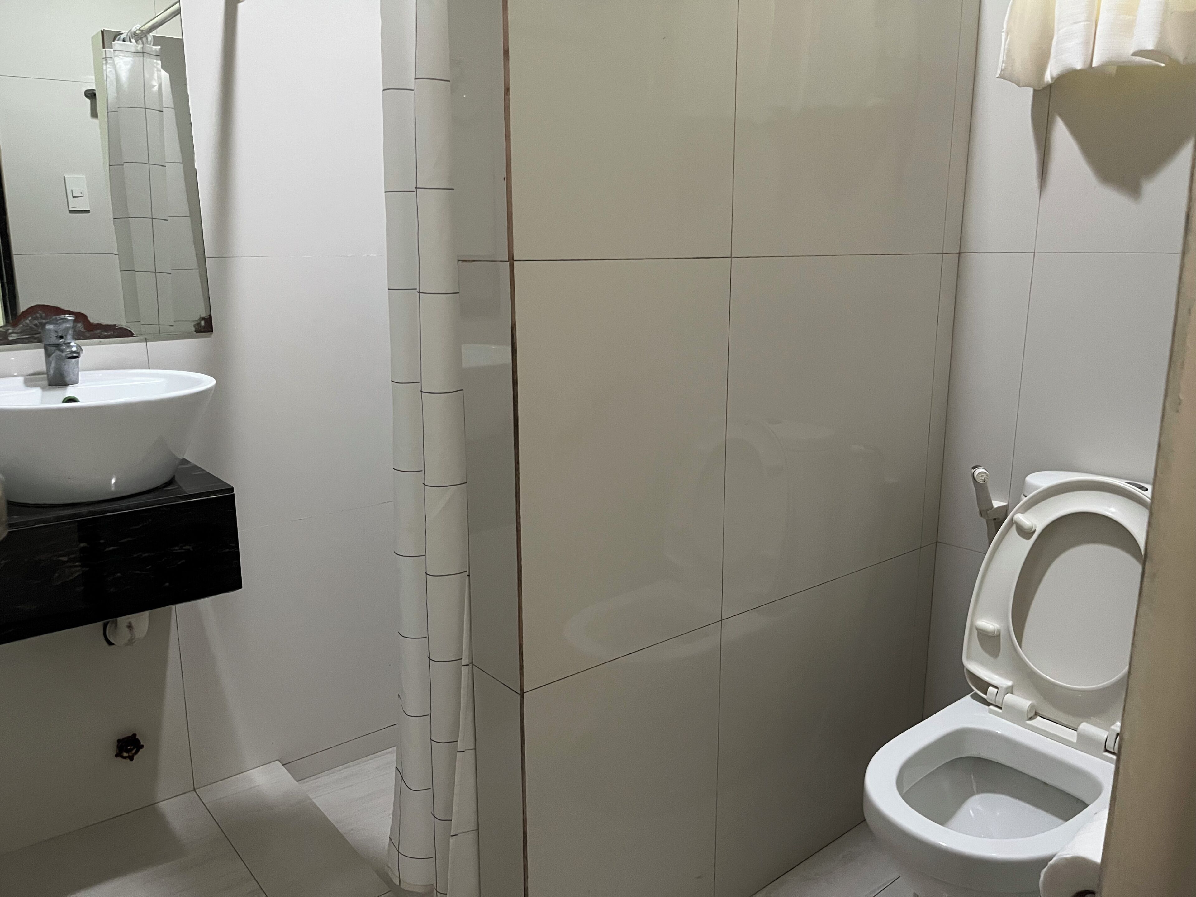 Haartrockner, Bidet, Handtücher, Seife