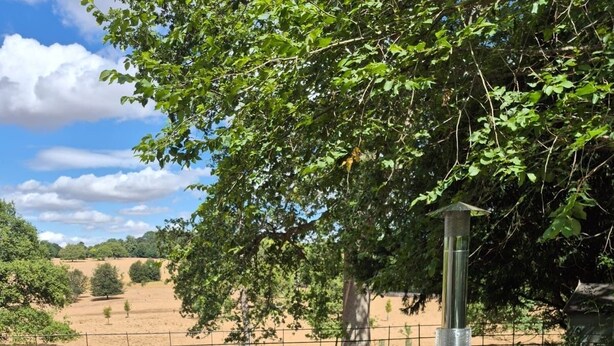 A hot tub with a wooden barrel exterior and a metal chimney, set on a patio with a wooden stool and a metal table. - Ware Lodge at Woodhall Park | Sleeps 3 (Hetford)