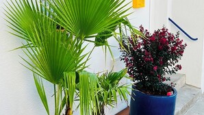 Ein Topfpflanzen mit grünen Blättern und einem blauen Blumentopf, eine hölzerne Pflanzkasten und ein kleines Fenster mit dekorativem Fliesendesign.
