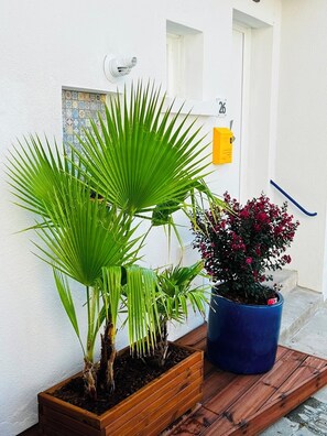 Ein Topfpflanzen mit grünen Blättern und einem blauen Blumentopf, eine hölzerne Pflanzkasten und ein kleines Fenster mit dekorativem Fliesendesign.