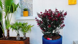 Ein Holz-Pflanzkasten mit verschiedenen Pflanzen, ein großer blauer Topf mit roten Blüten und ein kleines Fenster mit Fliesenmuster.