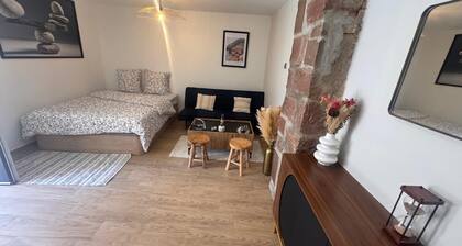 Grand et beau studio à Obernai en Alsace