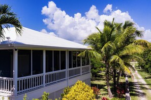 A house with a covered porch, surrounded by palm trees and a well-maintained garden.
