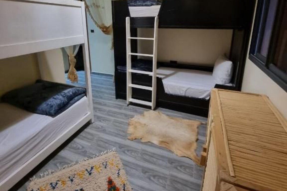 A room with bunk beds, a ladder, a hanging light fixture, and a patterned rug.