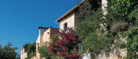 A narrow street lined with traditional buildings, some with balconies and vegetation.
