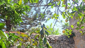 A hammock in a garden with a stone wall and various plants. - PROFUMO DI CALICANTO B&B (Tresnuraghes)