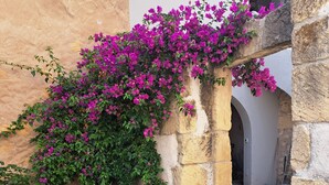 A stone archway with vibrant purple bougainvillea flowers, a stone wall, and a tiled patio area. - PROFUMO DI CALICANTO B&B (Tresnuraghes)