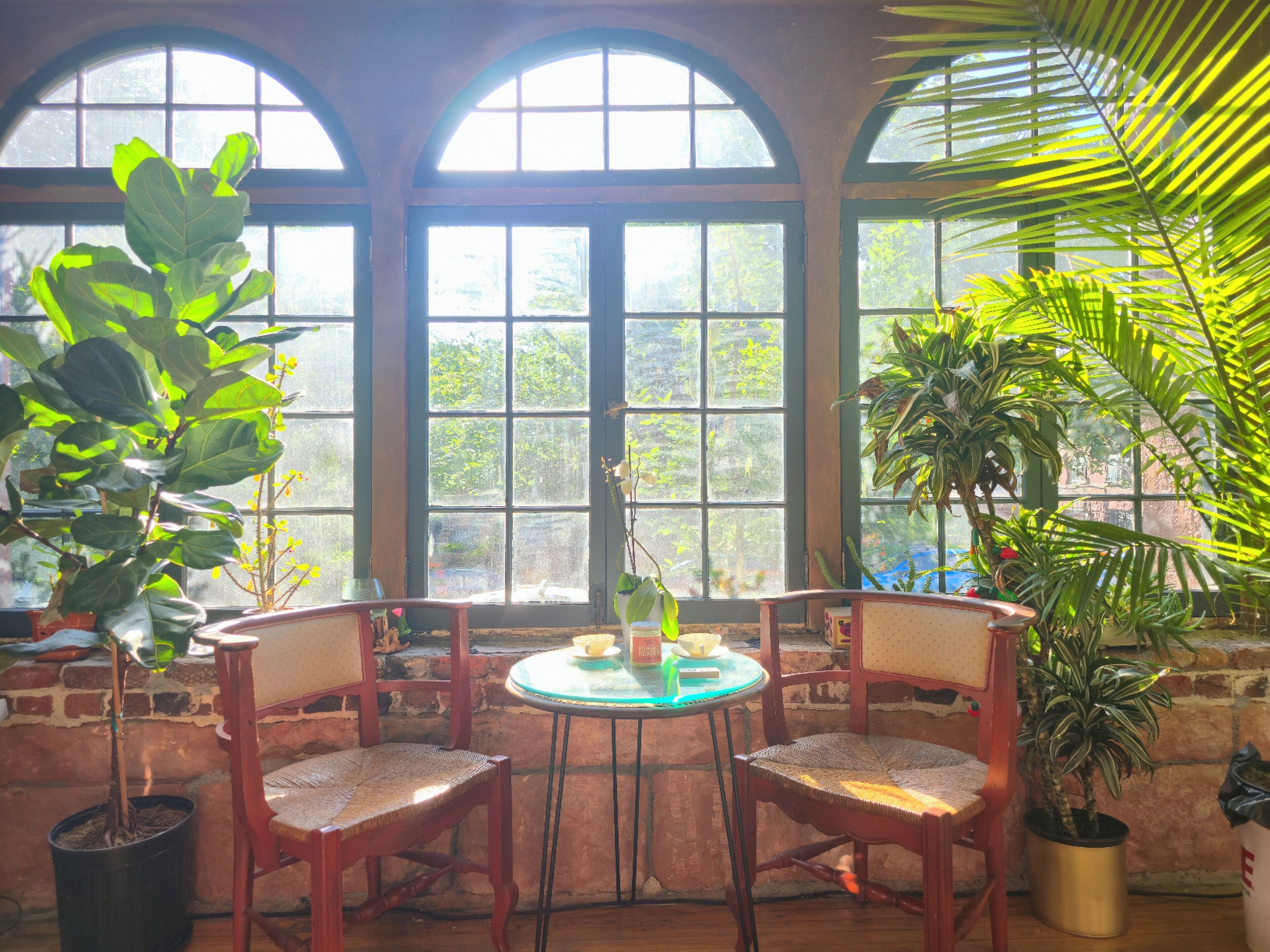 Una habitación con una mesa redonda, dos sillas y ventanas arqueadas grandes con plantas.