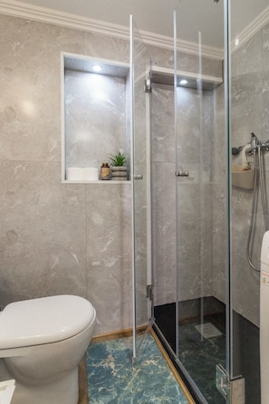 Une salle de bain avec une douche à parois de verre, des toilettes et une petite étagère sur laquelle est posée une plante.