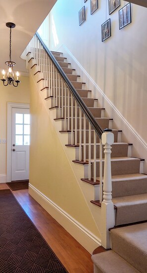 A staircase with a handrail, carpeted steps, and a door at the bottom. - Joseph Story Estate I Sleeps 12 l Parking + Elevator l On Salem Common (Salem)