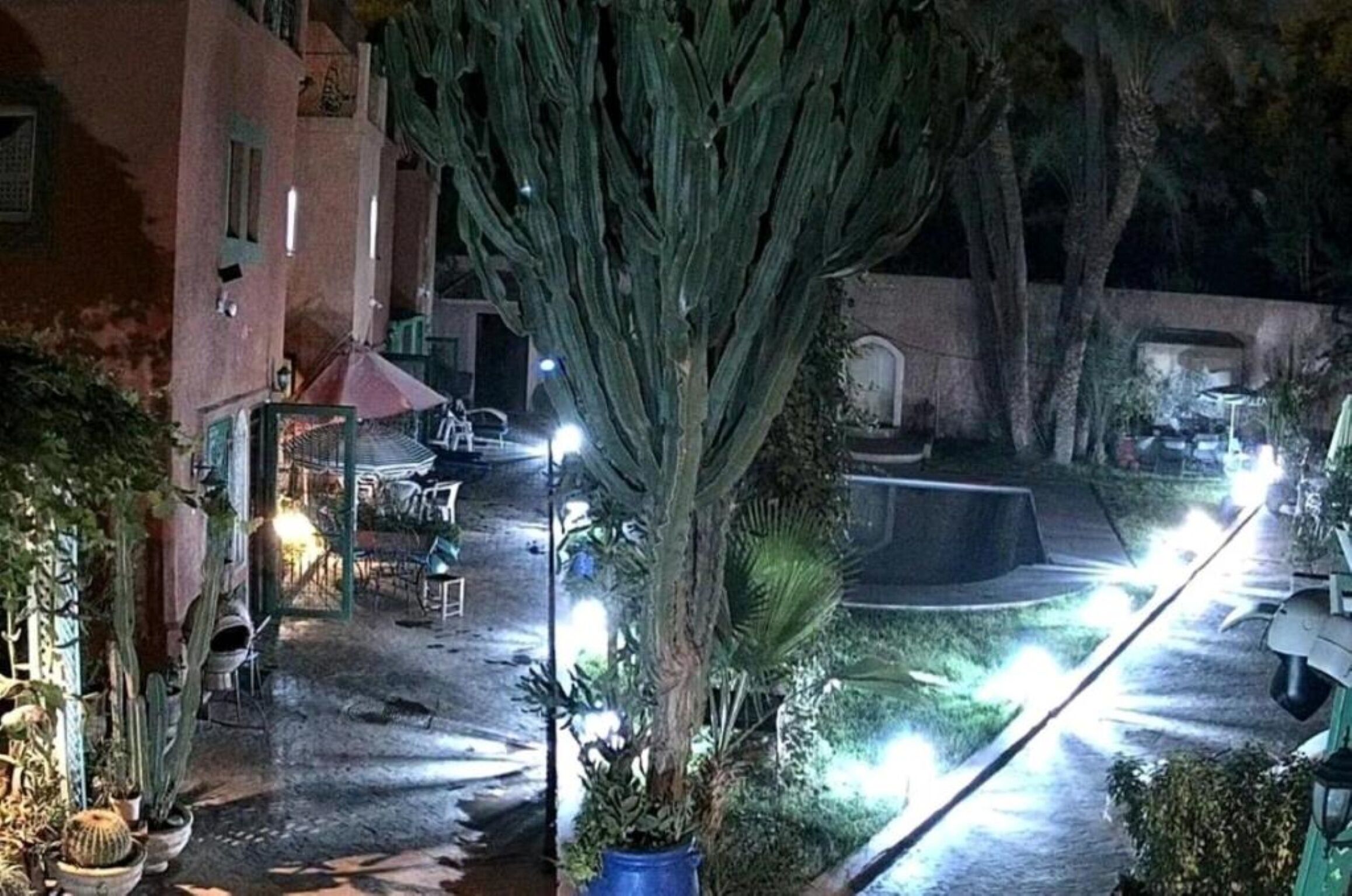 A nighttime view of a courtyard with a tree, potted plants, and outdoor seating.