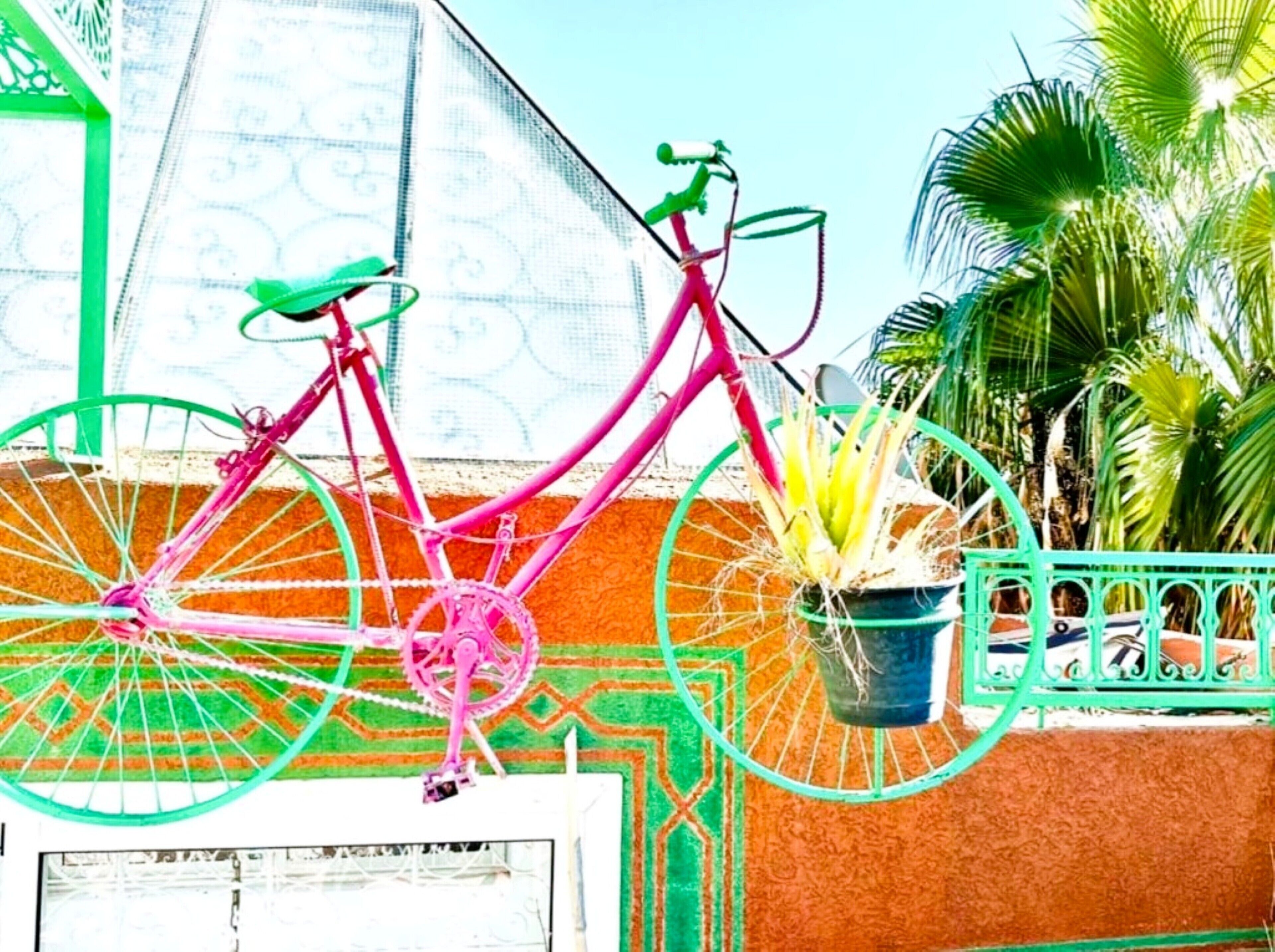 Uma bicicleta rosa encostada em uma parede com uma cerca verde e um vaso de planta por perto.