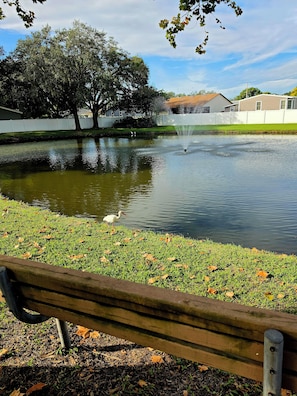A park with a pond, a bench, and a tree. - Welcome to our beautiful centrally located home with a private conversation view (Lakeland)