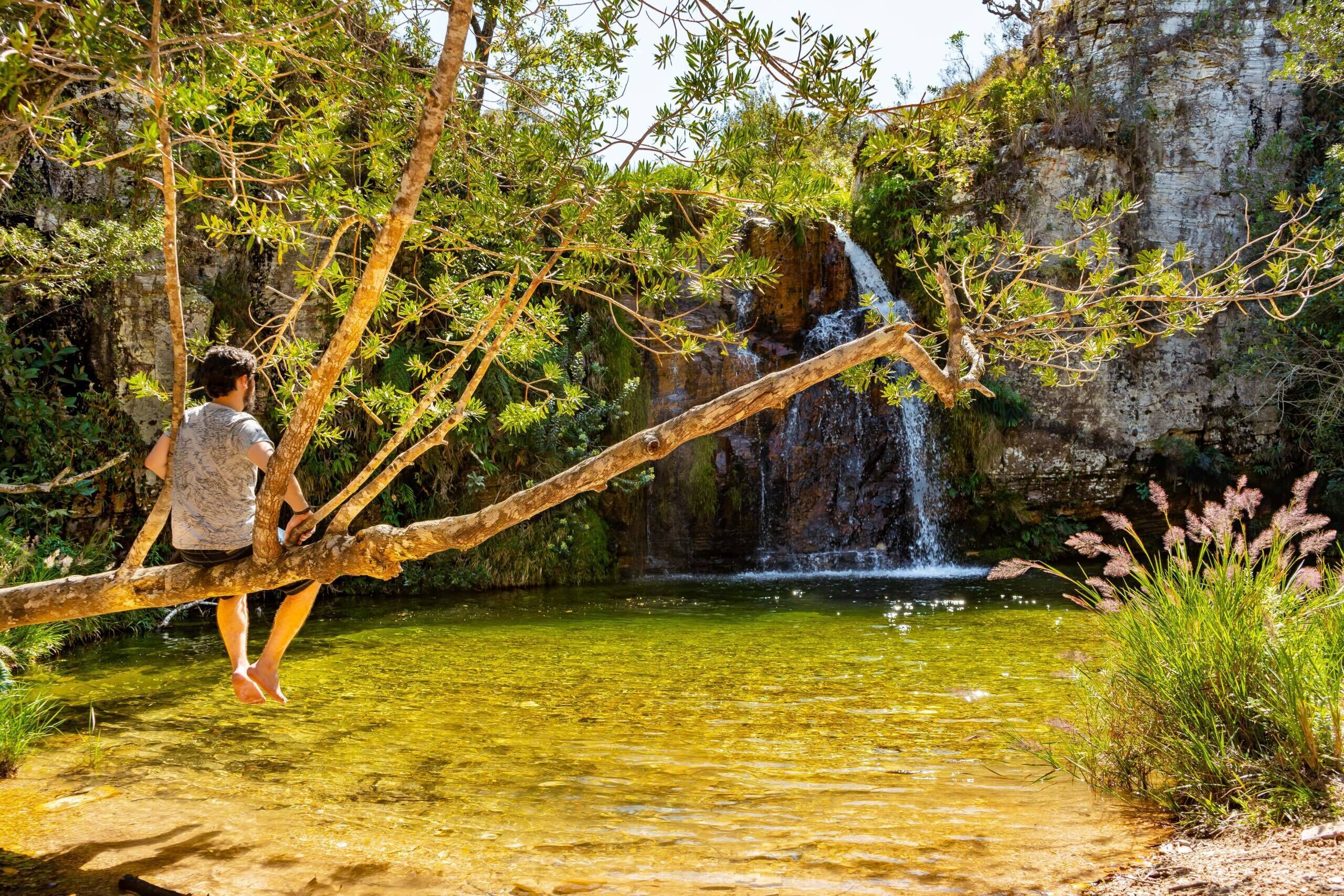 A person standing on a tree branch over a clear water body with a waterfall in the background.