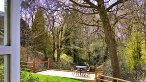 A patio with a table and chairs, surrounded by a wooden fence and lush greenery.
