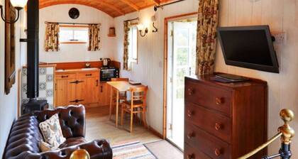Secluded Woodland Hut for 2