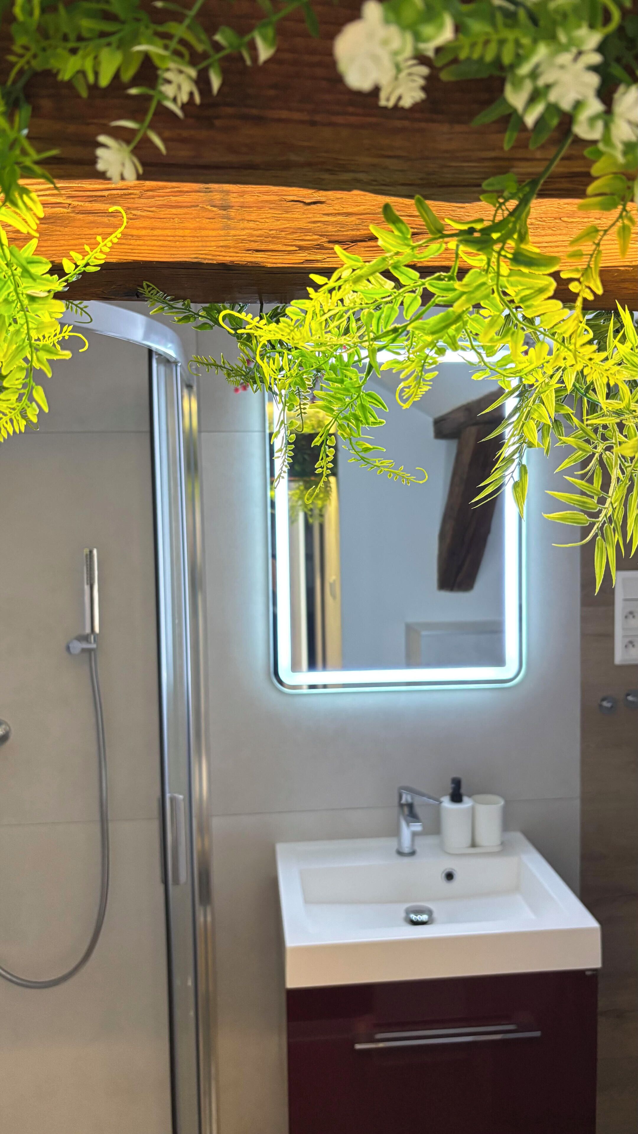 A modern bathroom with a glass shower enclosure, a white sink with a mirror, and decorative greenery.