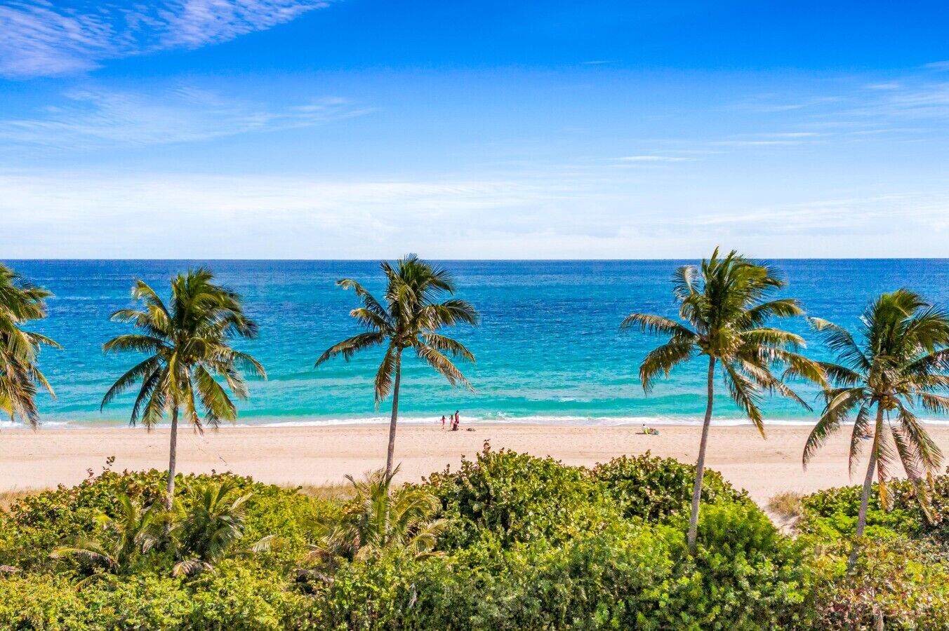 Uma praia com palmeiras e águas azul-claras.