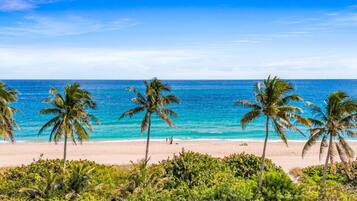 Uma praia com palmeiras e águas azul-claras.