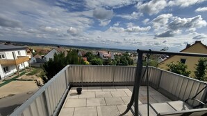 Una terraza en la azotea con barandilla metálica, una pequeña planta en maceta y vistas a una zona residencial con casas y árboles.