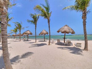 A beach with palm trees, thatched umbrellas, and sun loungers. - Luxury Oceanfront Condo | Marina Resort | 3BR | Pools | Sleeps 10 (Progreso)