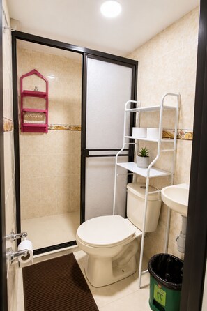 Shower, towels, toilet paper