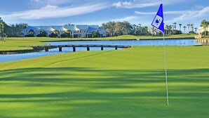 Golf - Luxury Remodel and New Golf Cart (Miramar Beach)