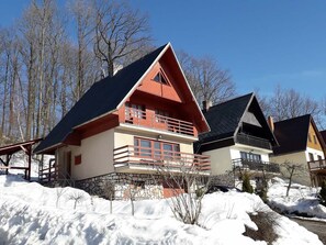 Exterior - Cottage IRENA in Giant Mountains (Čistá v Krkonoších)