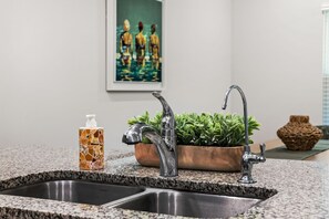 A kitchen with a double sink, a potted plant, and a decorative bottle. - Palm Paradise *Minutes to Beach* (SANTA RSA BCH)
