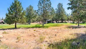 A grassy area with trees and a small building. - Present Pheasant - Cute & Updated, Close to Everything, Golf, Amenities, Perfect For Family (Redmond)