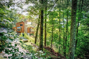 Una cabaña rodeada de un bosque denso, con un muro de piedra y una terraza de madera.