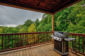Un espace extérieur abrité, doté d’un barbecue, d’une terrasse en bois et offrant une vue sur une forêt dense.