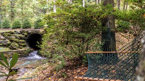 A hammock tied to a tree in a forested area with a stream and a stone bridge. - Blackberry Creek Cabin (Lenoir)