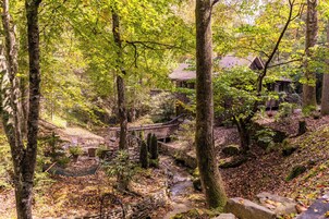 Una cabaña rústica rodeada de bosque, con un puente de madera que lleva a ella.