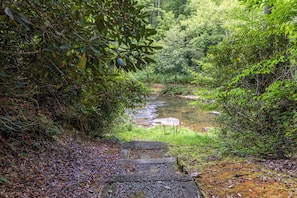 A natural outdoor setting with a stream, surrounded by dense greenery and a wooden pathway leading into the scene. - A River Mists Too (Sugar Grove)