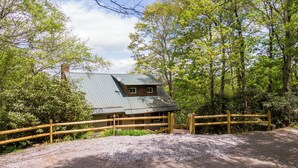 A rustic cabin with a metal roof, surrounded by dense forest. - Parkway Hideout (Boone)
