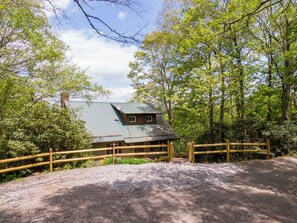 A rustic cabin with a metal roof, surrounded by dense forest. - Parkway Hideout (Boone)