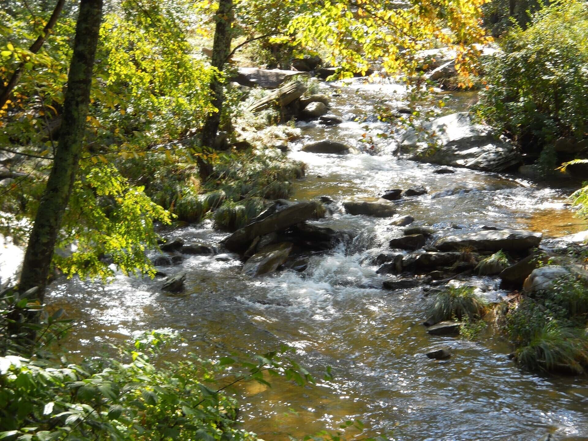 A natural stream with rocks and trees.